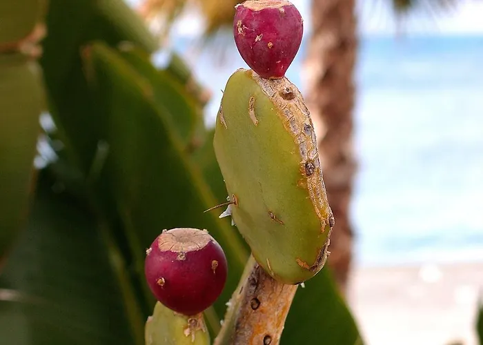 Le Cittadella del Capo